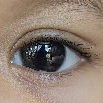 Eye reflection